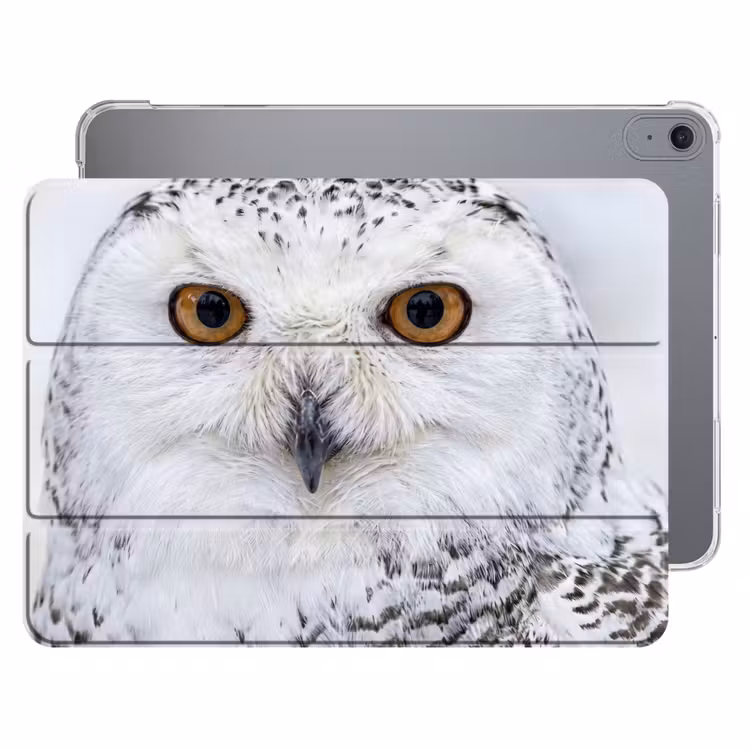 iPad hoes - Sneeuwuil - Oog - Wildlife - Wit — 1
