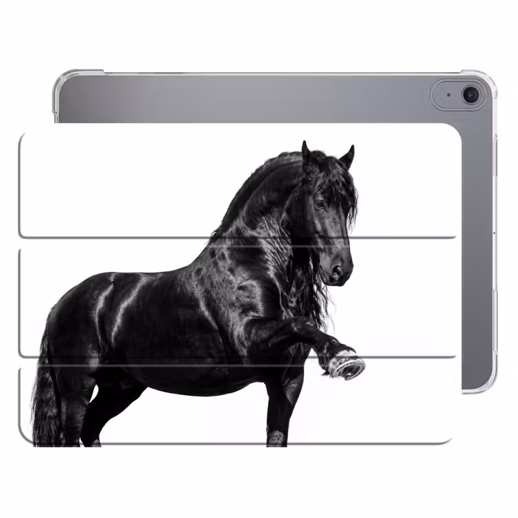 iPad hoes - Fries - Hengst - Modern — 1