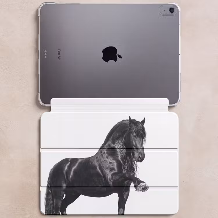 iPad hoes - Fries - Hengst - Modern — 6