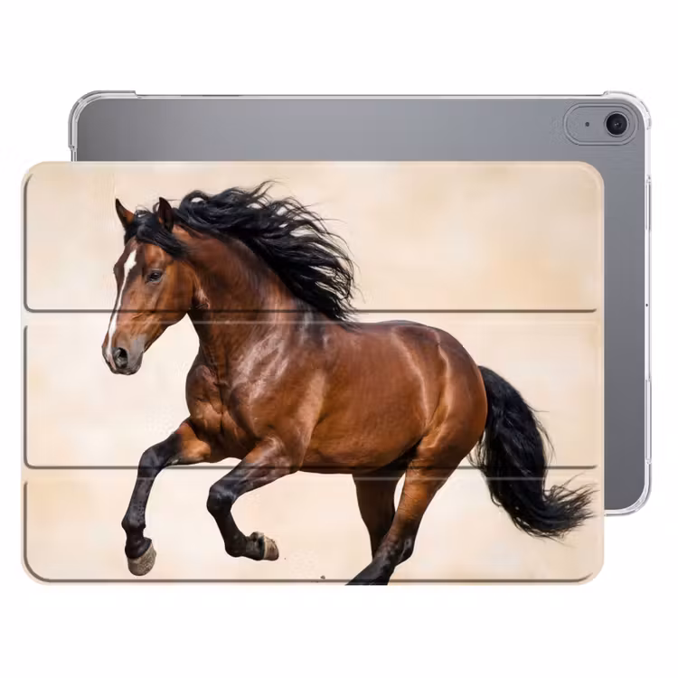 iPad hoes - Paard - Galop - Energie — 1
