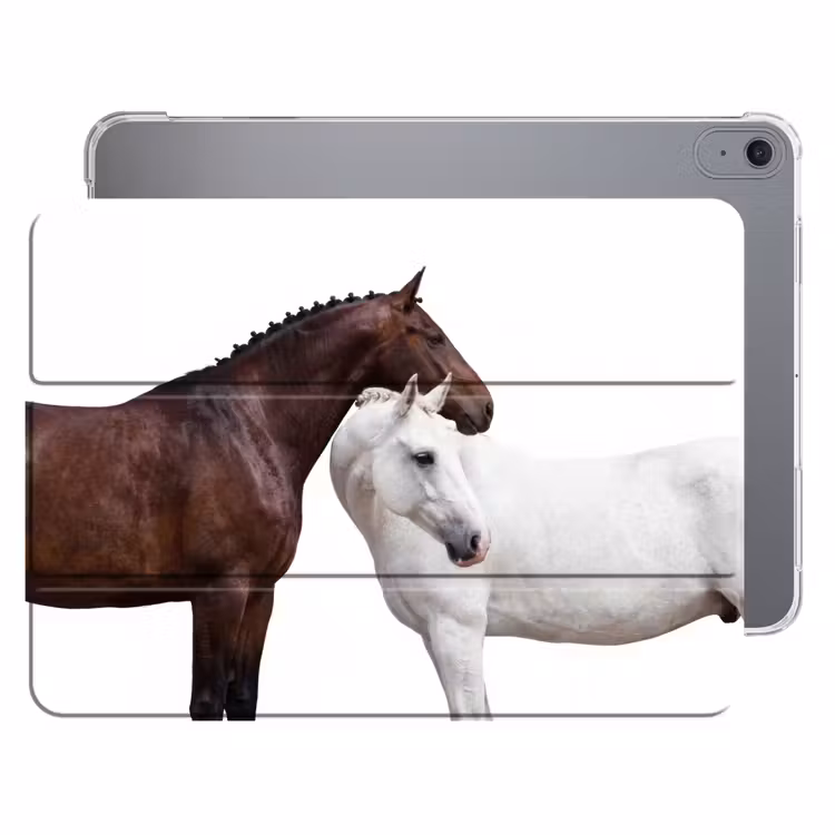 iPad hoes - Paard - Modern - Balans — 1