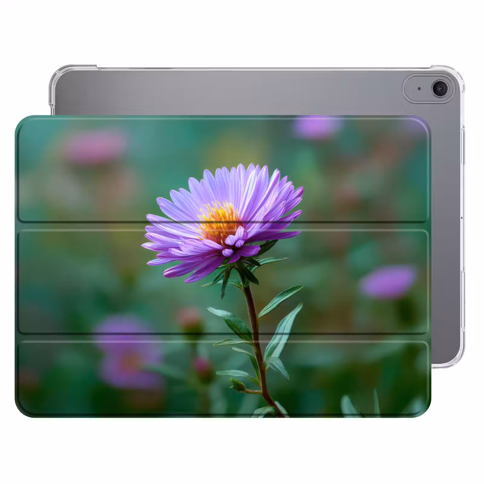 iPad hoes - Aster - Paars - Bloem - Blaadjes — 1