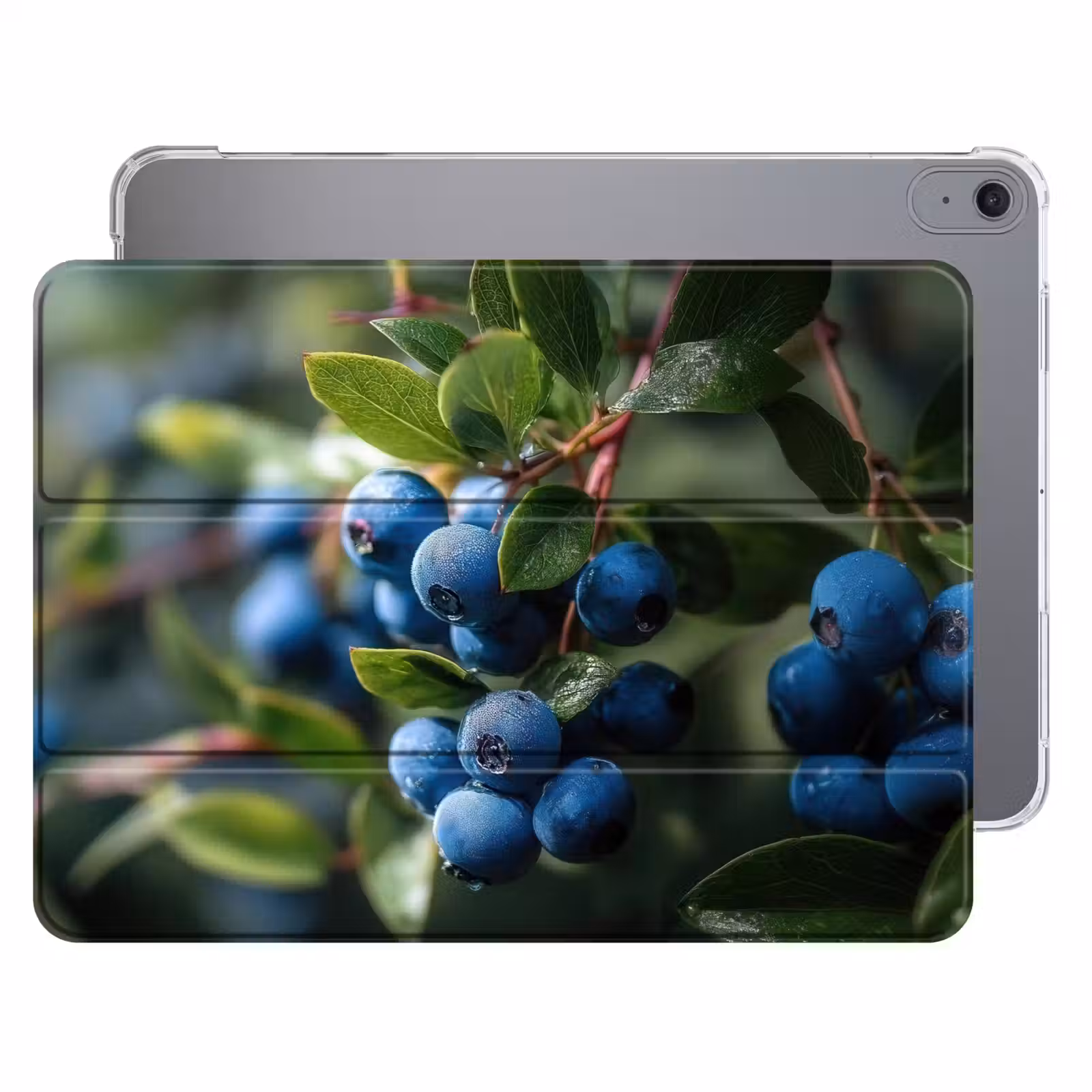 iPad hoes - Blauwe bessen - Dauwdruppels - Natuurlijk licht — 1