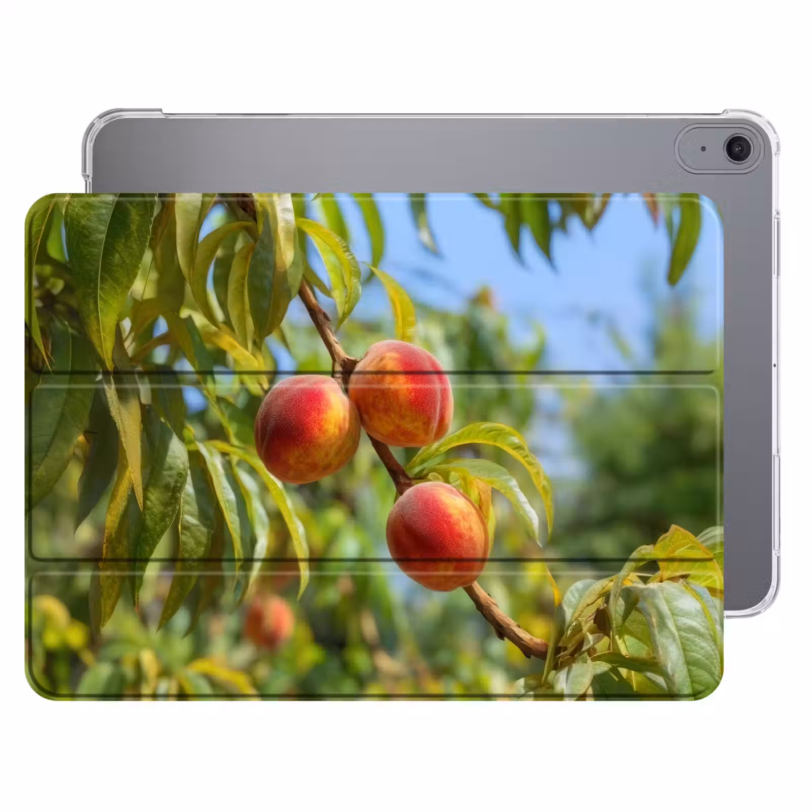 iPad hoes - Perzik - Bladeren - Zonlicht — 1