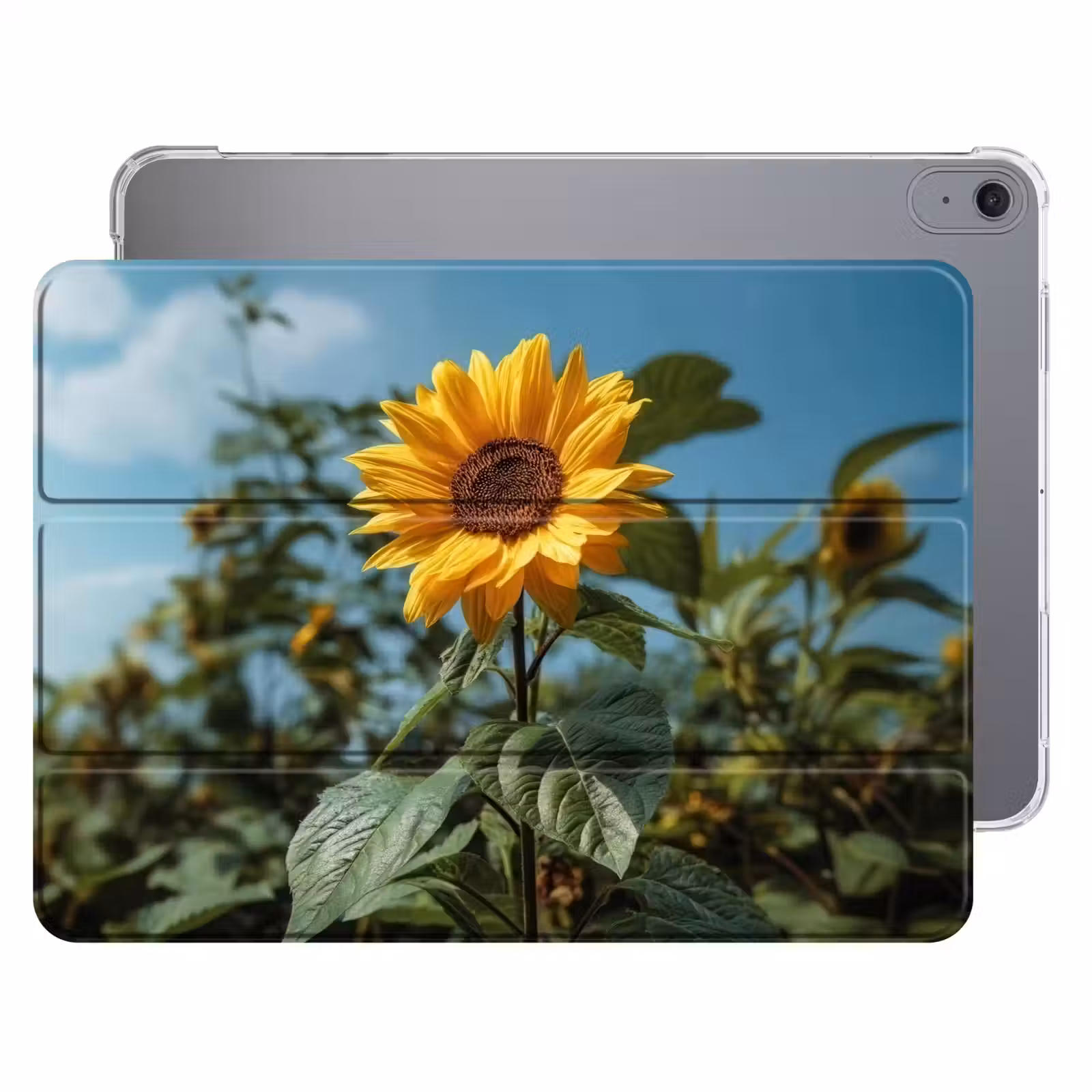 iPad hoes - Zonnebloemen - Helderblauwer lucht - Gras — 1