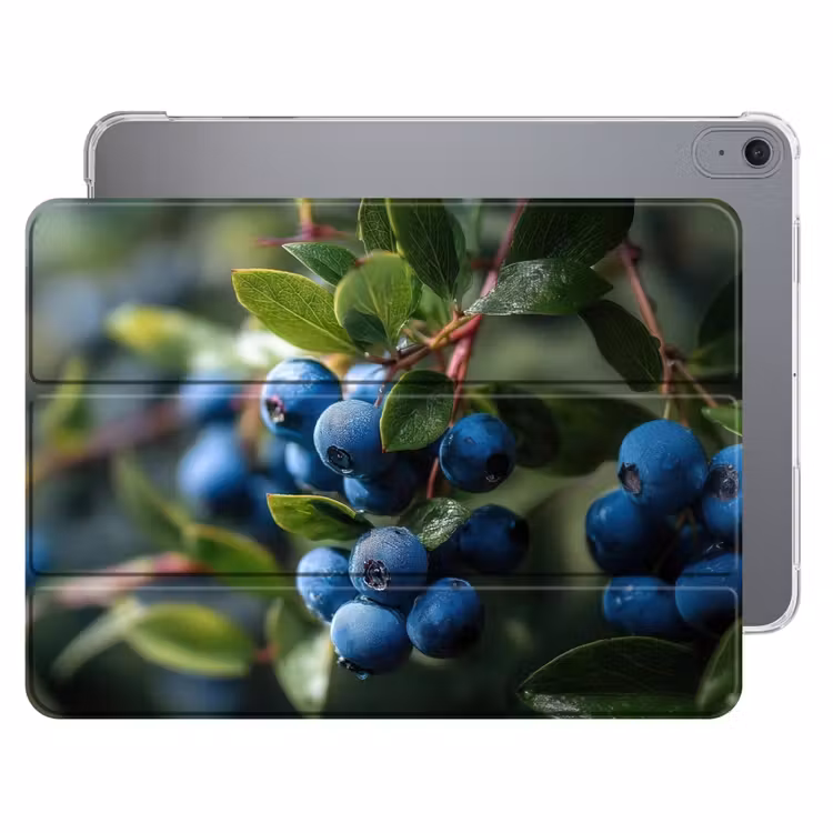iPad hoes - Blauwe bessen - Dauwdruppels - Natuurlijk licht — 1