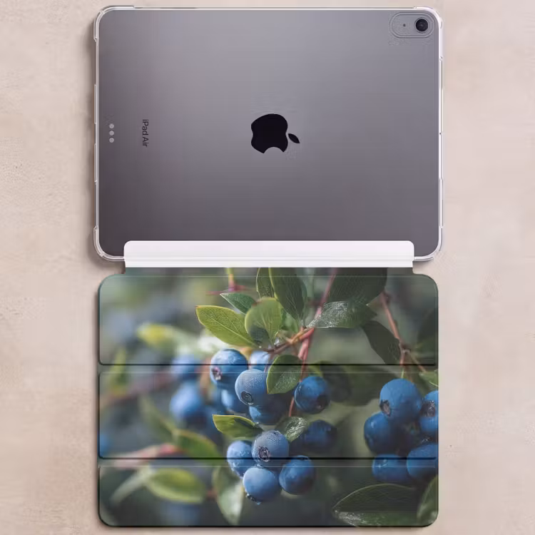 iPad hoes - Blauwe bessen - Dauwdruppels - Natuurlijk licht — 6