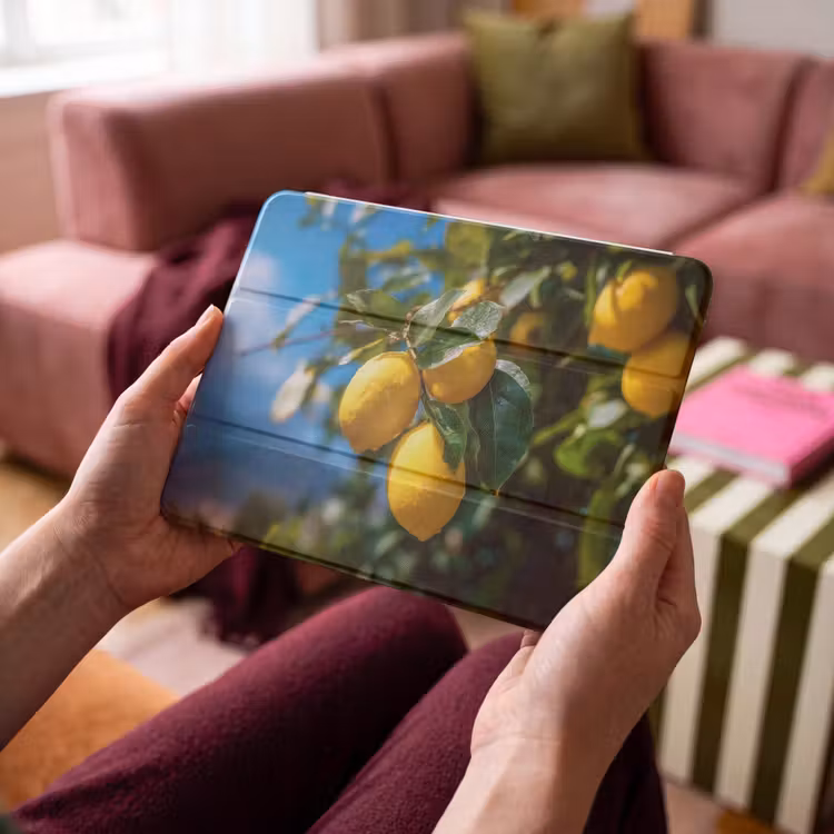 iPad hoes - Citroenen - Bladeren - Blauwe lucht — 4