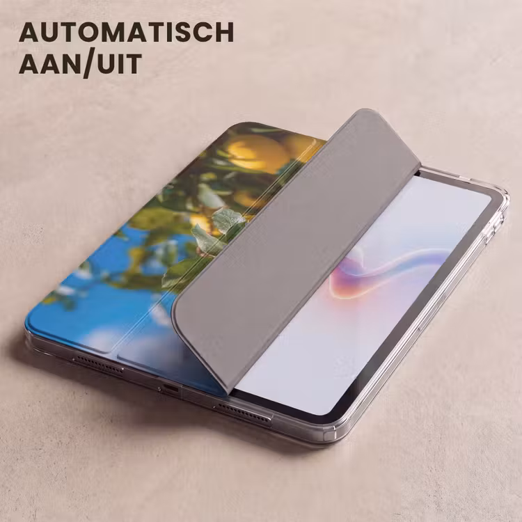 iPad hoes - Citroenen - Bladeren - Blauwe lucht — 5