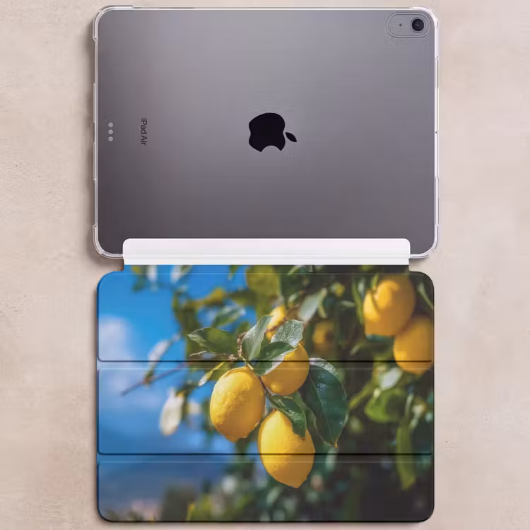 iPad hoes - Citroenen - Bladeren - Blauwe lucht — 6
