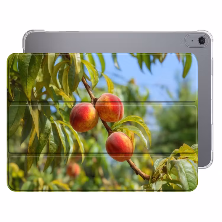 iPad hoes - Perzik - Bladeren - Zonlicht — 1