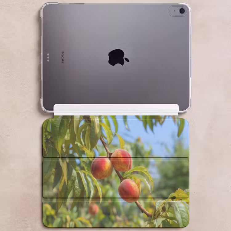 iPad hoes - Perzik - Bladeren - Zonlicht — 6