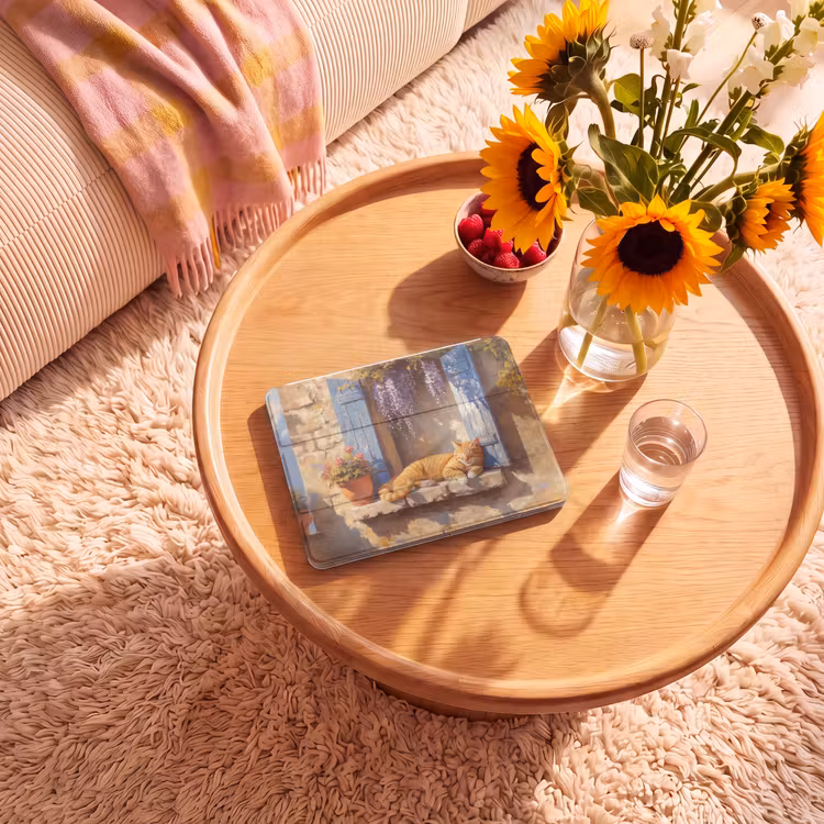 iPad hoes - Kat - Stenen vensterbank - Bloemen — 2