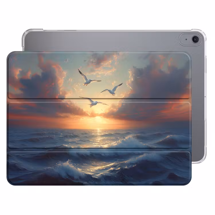 iPad hoes - Meeuwen - Zonsondergang - Zee - Wolken — 1