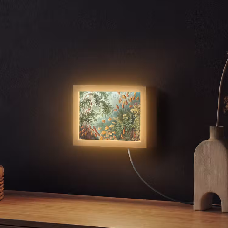 Lightbox - Wandlamp - Oude meesters - Kunst - Muscinae - Haeckel — 2