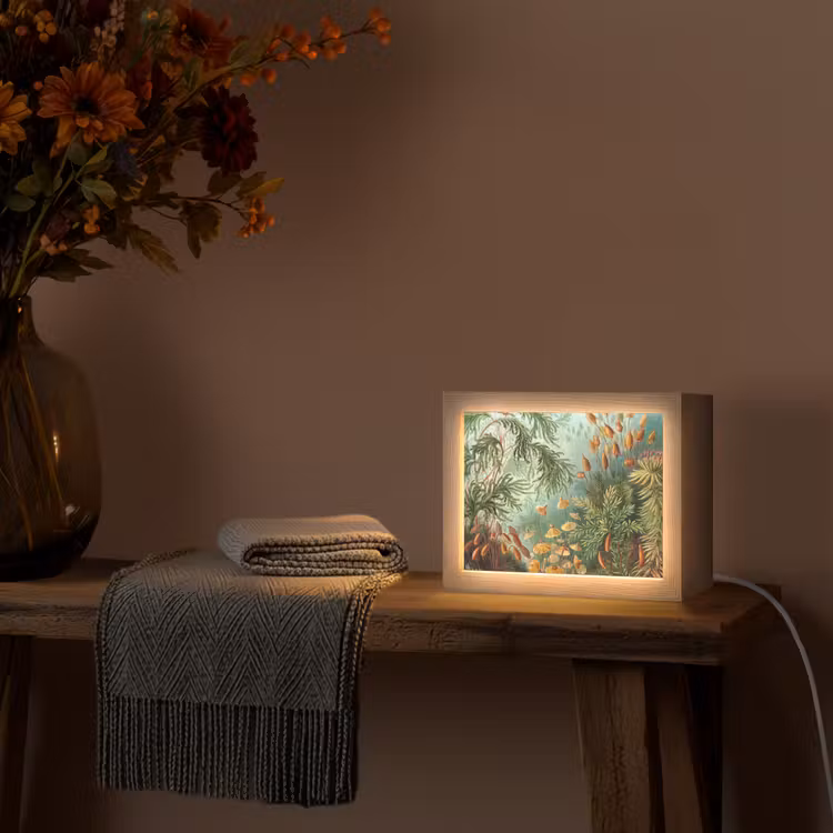 Lightbox - Wandlamp - Oude meesters - Kunst - Muscinae - Haeckel — 4