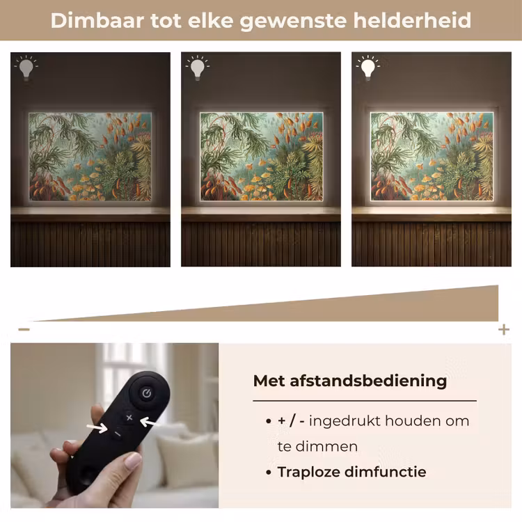 Lightbox - Wandlamp - Oude meesters - Kunst - Muscinae - Haeckel — 9