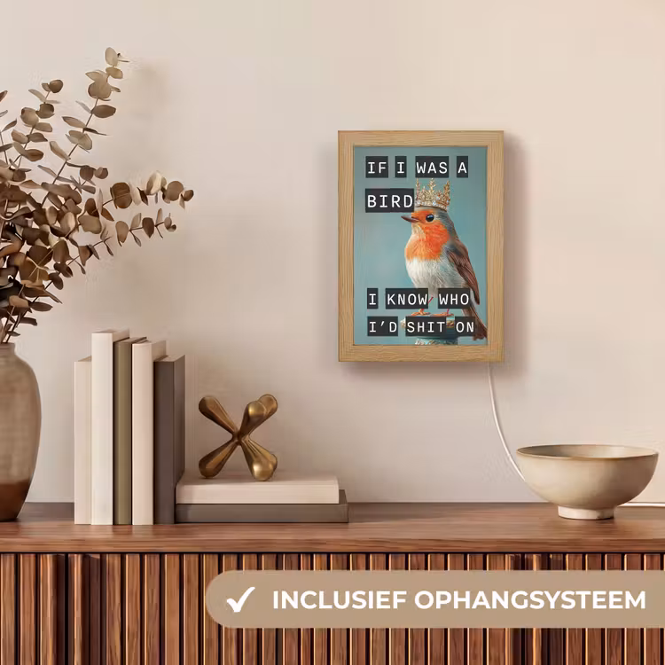 Lightbox - Wandlamp - Roodborstje - Vogel - Blauw - Decoratie — 8