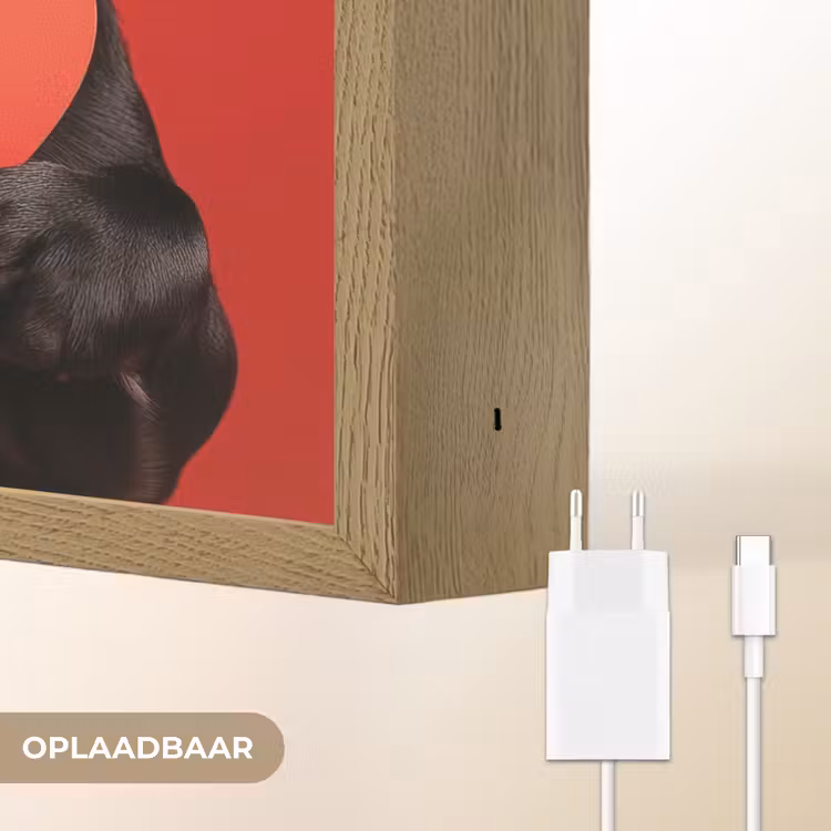 Lightbox - Wandlamp - Amor - Hond  - Hartje - Rood — 6
