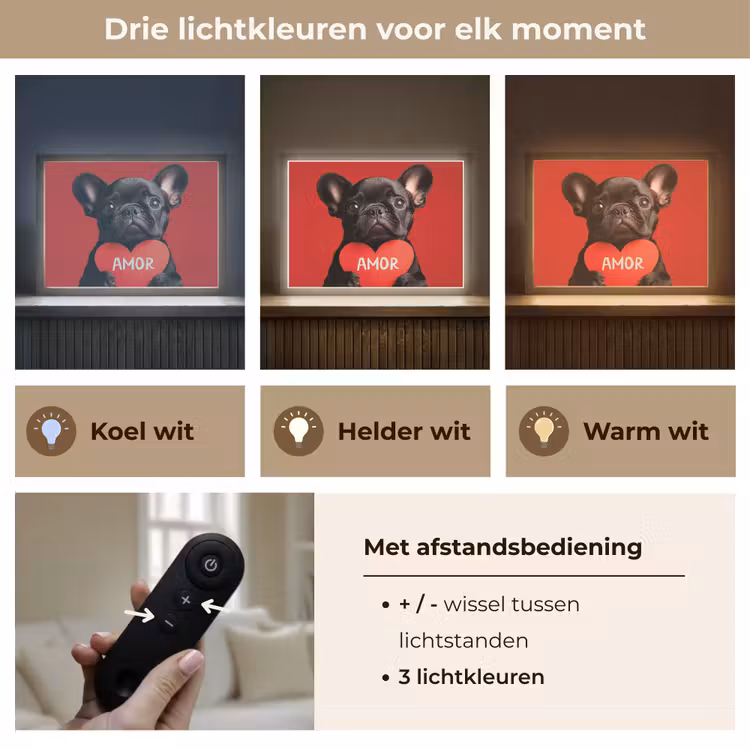 Lightbox - Wandlamp - Amor - Hond  - Hartje - Rood — 8