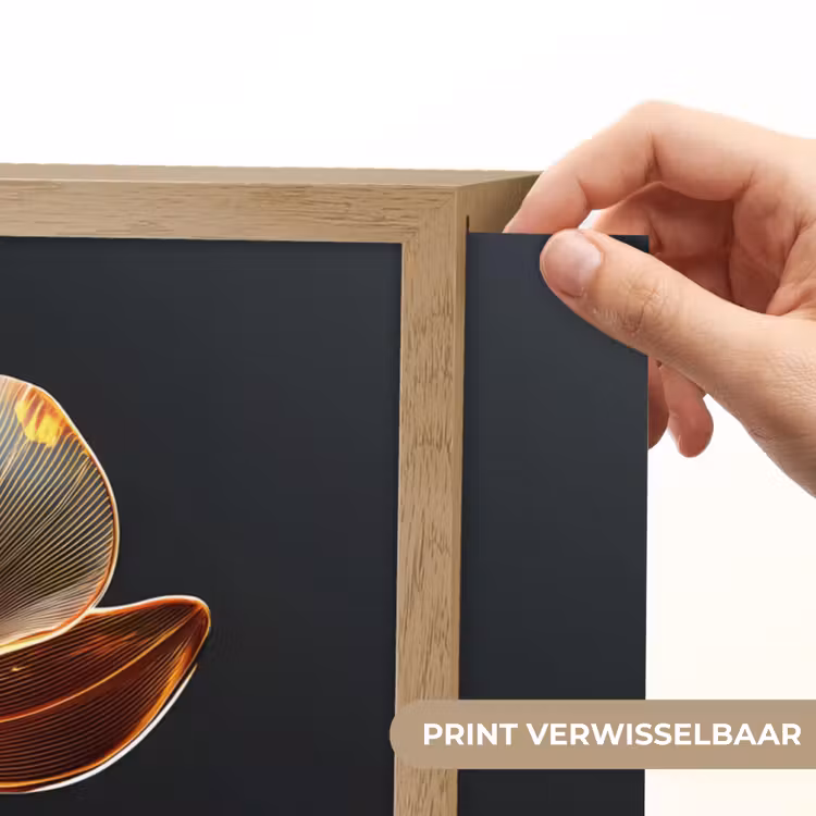 Lightbox - Wandlamp - Orchidee - Doorzichtig - Bloem — 5