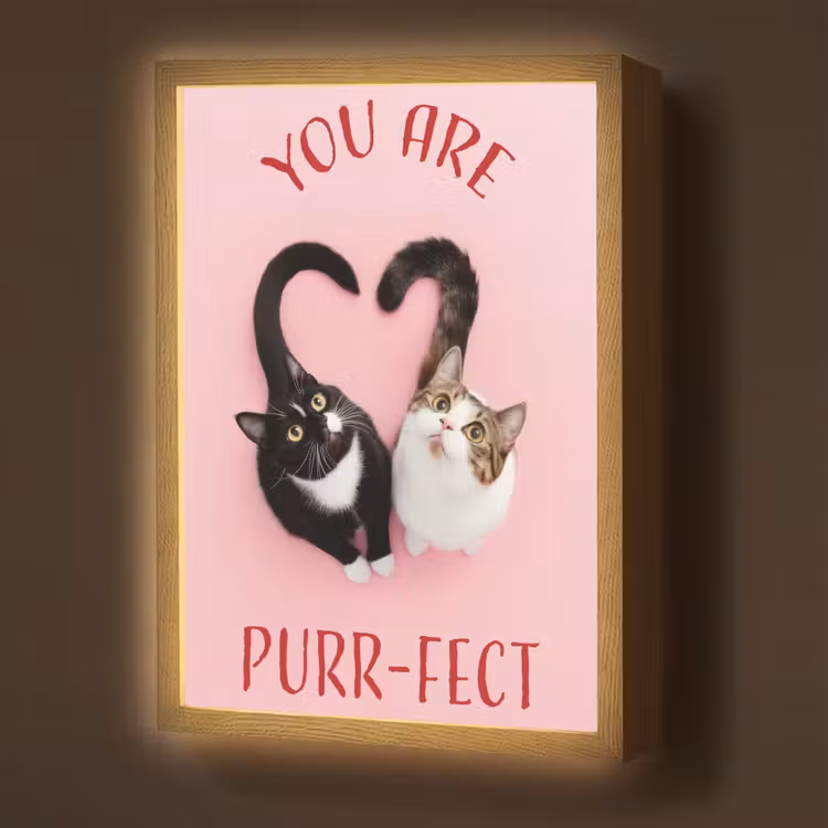 Lightbox - Wandlamp - Kat - Hart - Tekst - Valentijn — 1