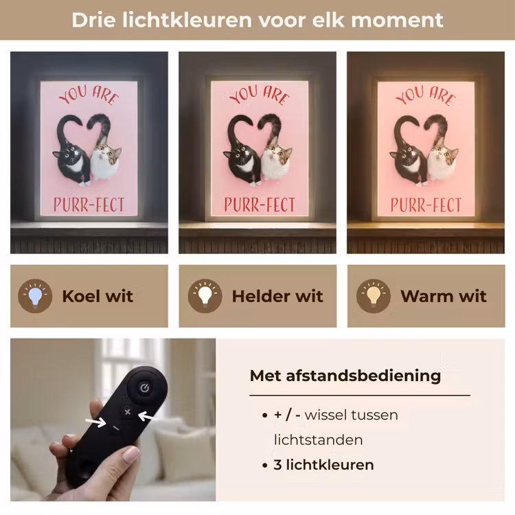 Lightbox - Wandlamp - Kat - Hart - Tekst - Valentijn — 7
