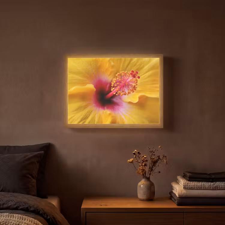 Lightbox - Wandlamp - Geel - Hibiscus - Tropisch — 3