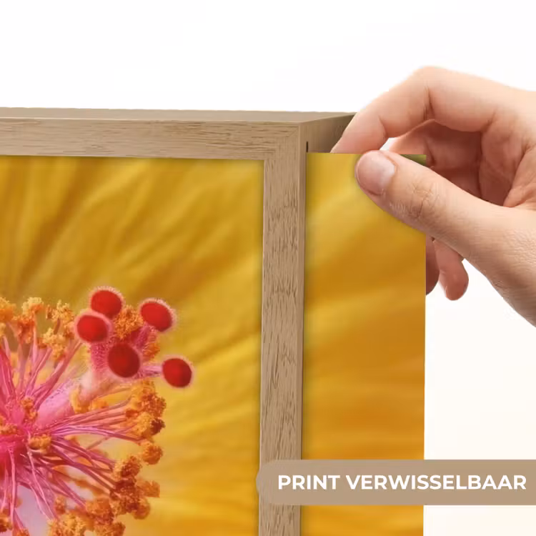 Lightbox - Wandlamp - Geel - Hibiscus - Tropisch — 5