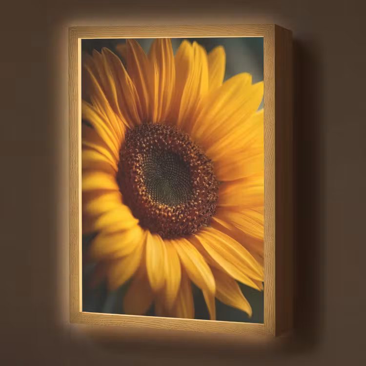 Lightbox - Wandlamp - Geel - Zonnebloem - Zomers — 1
