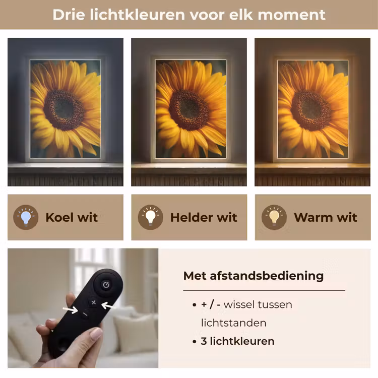Lightbox - Wandlamp - Geel - Zonnebloem - Zomers — 7