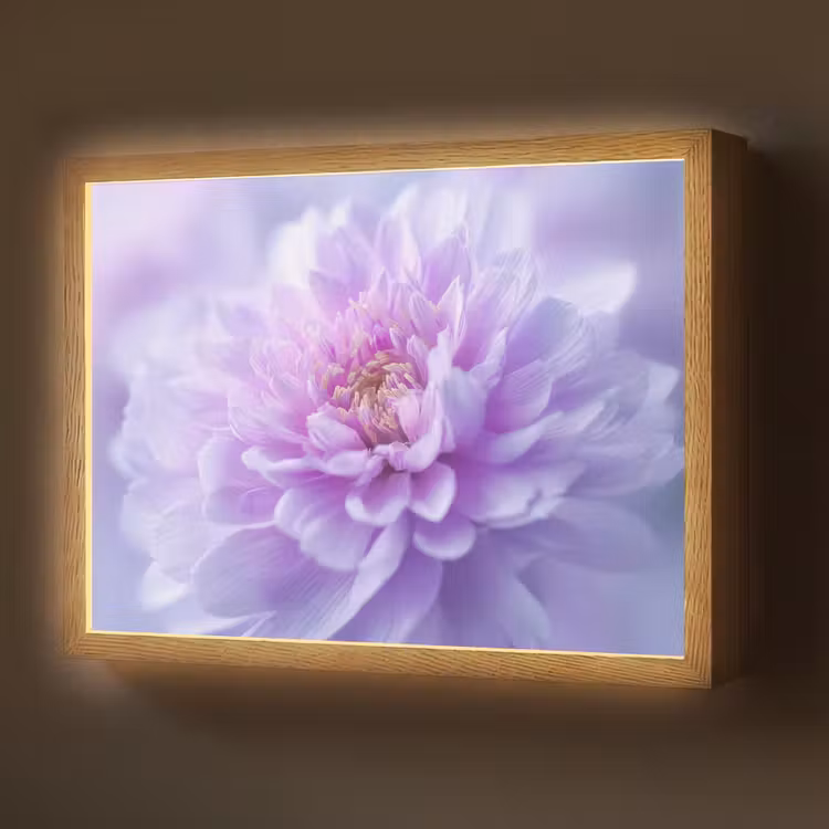 Lightbox - Wandlamp - Paars - Dahlia - Dromerig — 1