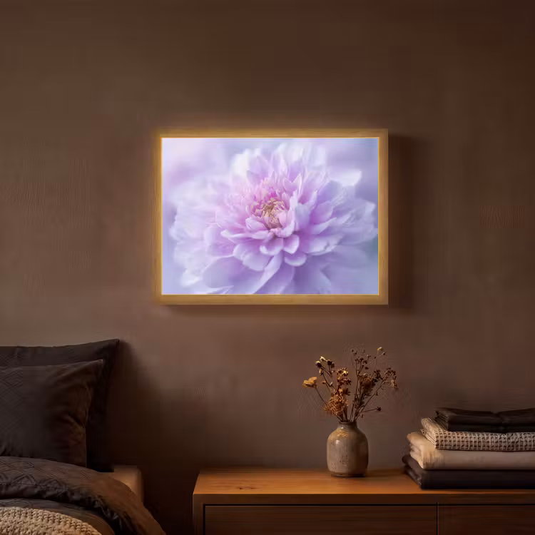 Lightbox - Wandlamp - Paars - Dahlia - Dromerig — 3