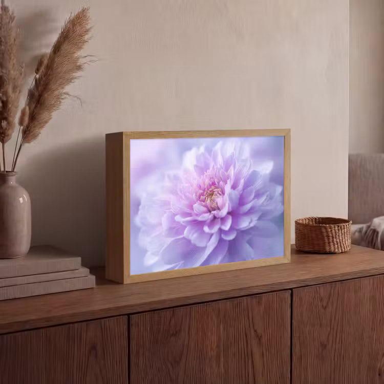 Lightbox - Wandlamp - Paars - Dahlia - Dromerig — 4