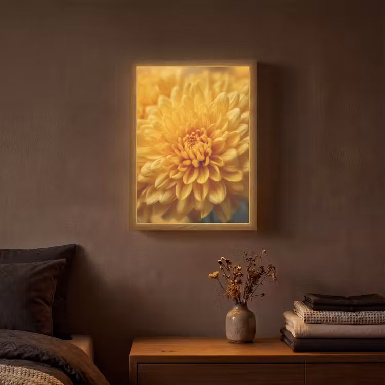 Lightbox - Wandlamp - Geel - Chrysant - Zachtheid — 3