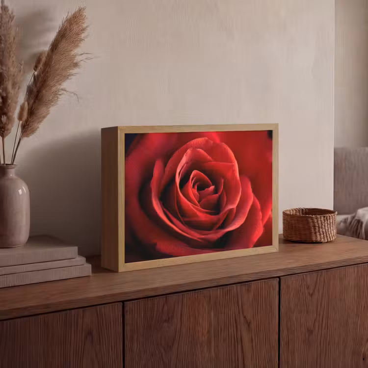 Lightbox - Wandlamp - Rood - Roos - Romantisch — 4