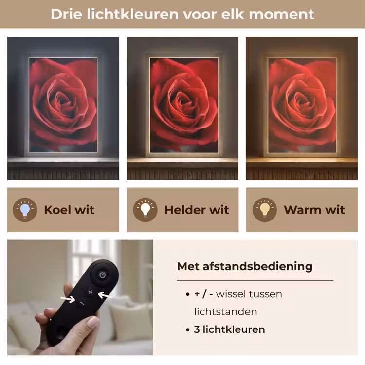 Lightbox - Wandlamp - Rood - Roos - Romantisch — 7