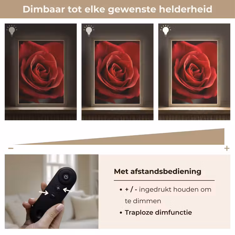 Lightbox - Wandlamp - Rood - Roos - Romantisch — 8