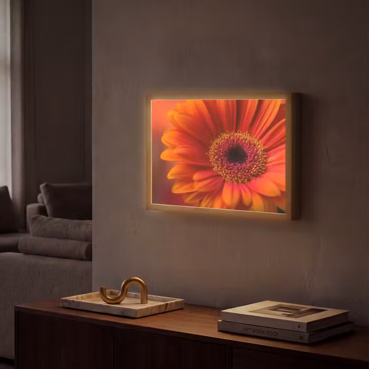 Lightbox - Wandlamp - Oranje - Gerbera - Intens — 2