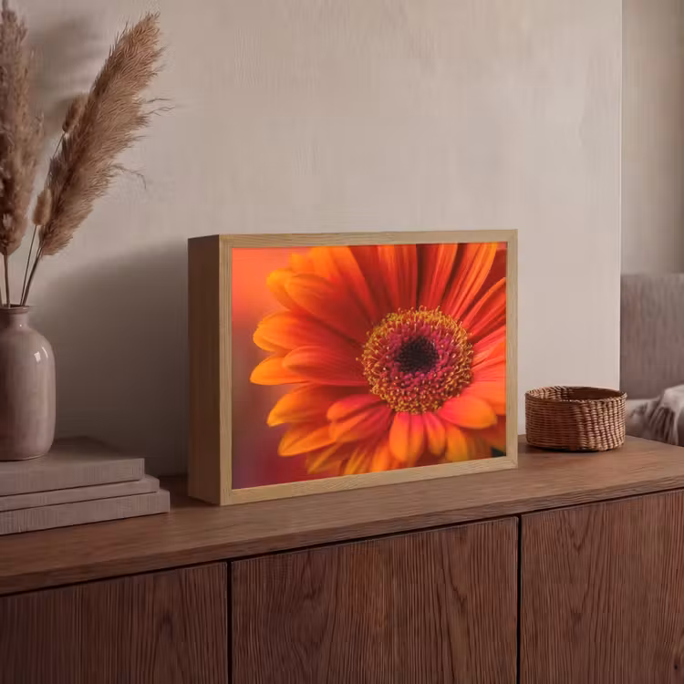 Lightbox - Wandlamp - Oranje - Gerbera - Intens — 4