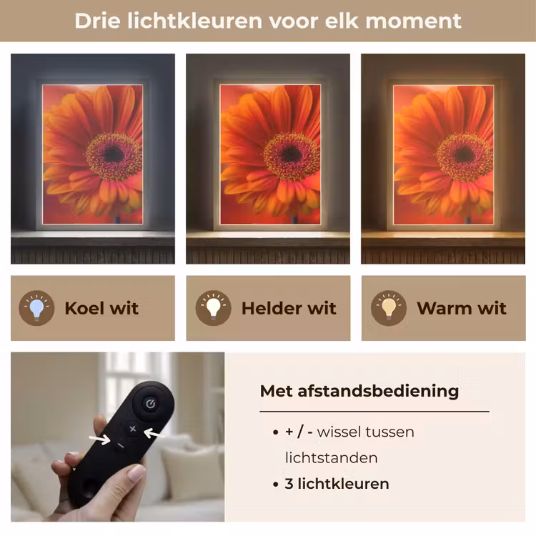 Lightbox - Wandlamp - Oranje - Gerbera - Intens — 7