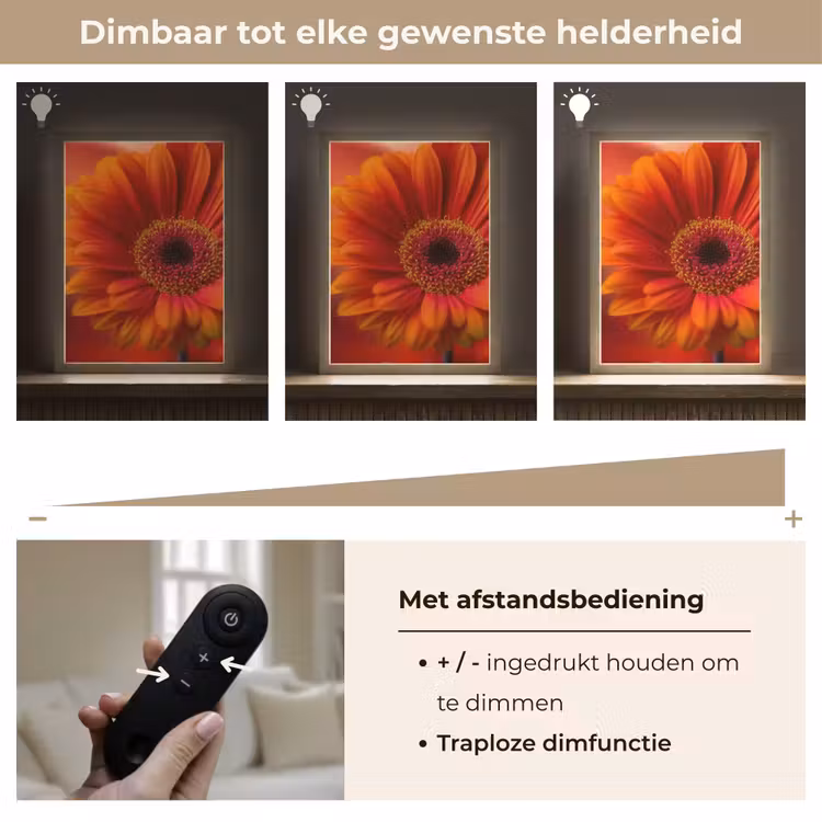 Lightbox - Wandlamp - Oranje - Gerbera - Intens — 8