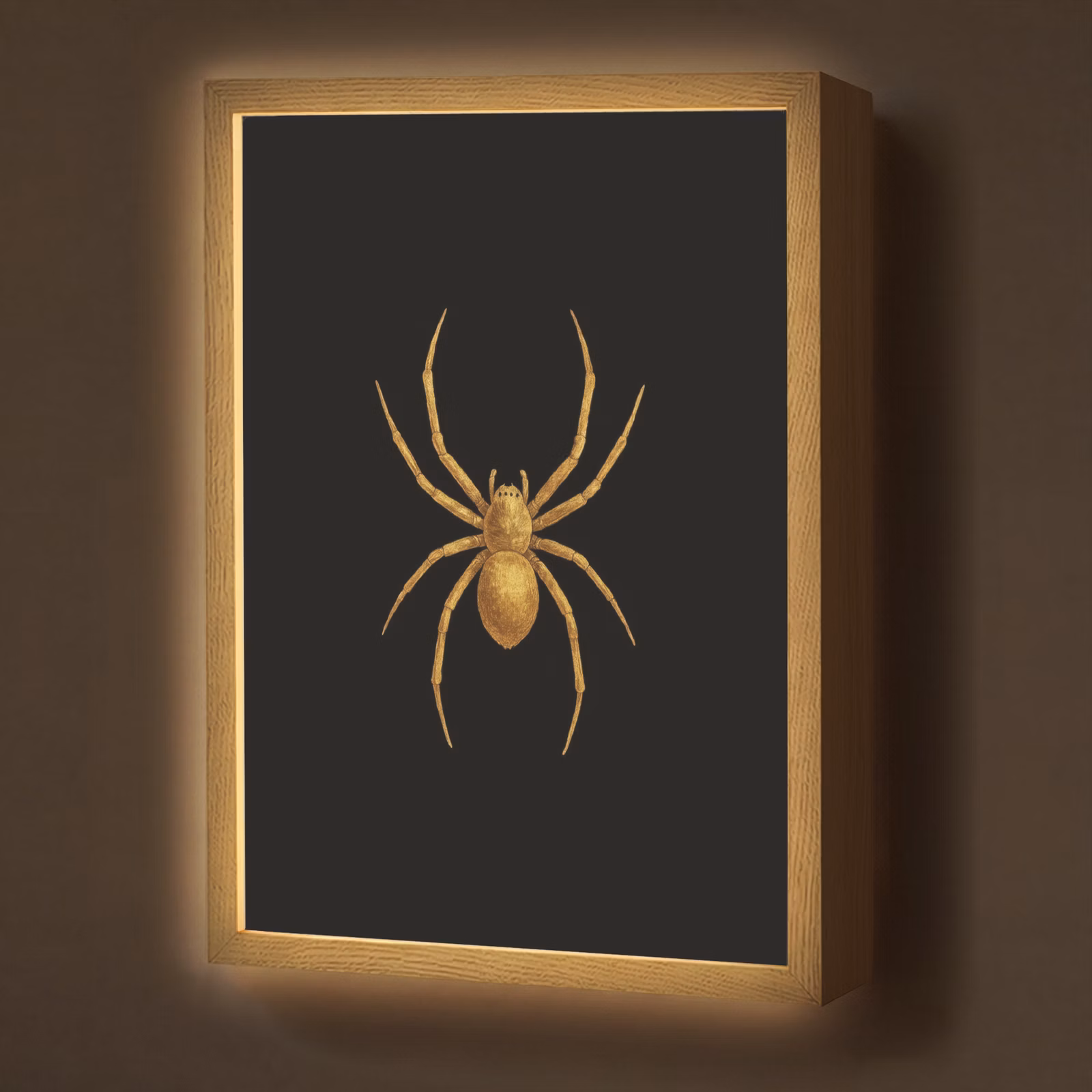 Lightbox - Wandlamp - Spin - Goud - Minimalistisch - Poten — 1