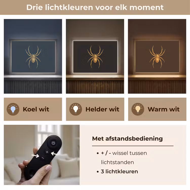 Lightbox - Wandlamp - Spin - Goud - Minimalistisch - Poten — 8