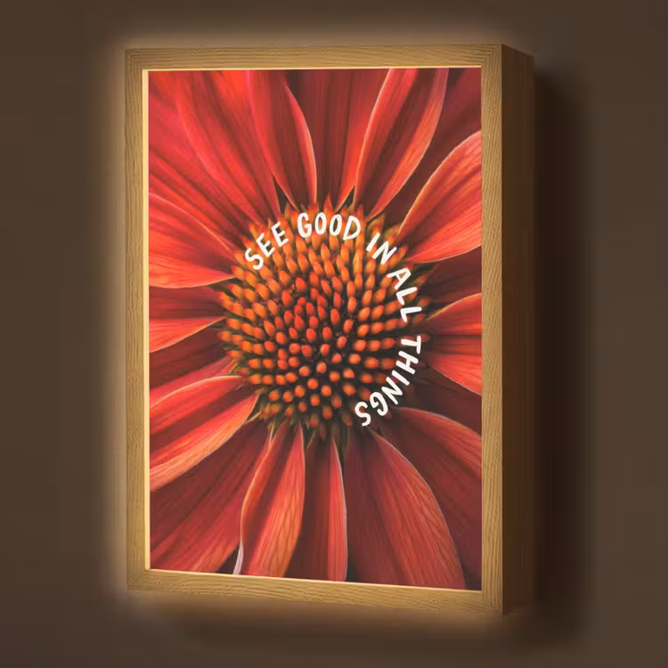 Lightbox - Wandlamp - Close up - Bloem - Quote - Rood — 1