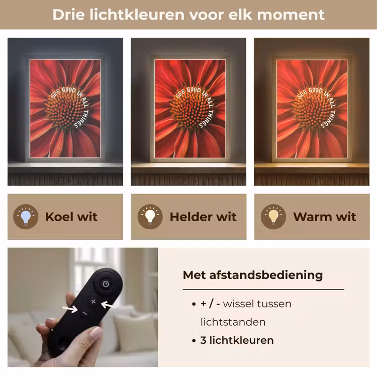 Lightbox - Wandlamp - Close up - Bloem - Quote - Rood — 7