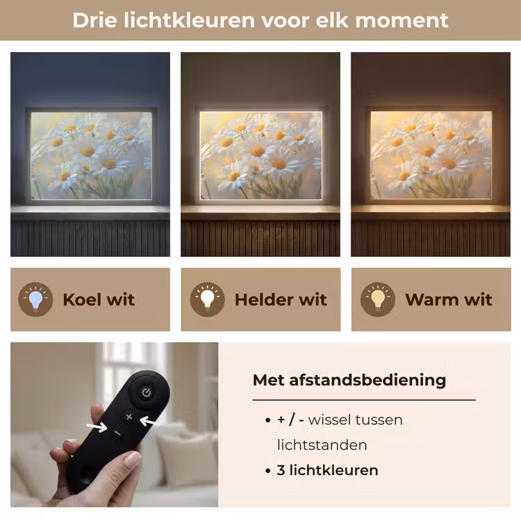 Lightbox - Wandlamp - Madeliefjes - Wit - Zonlicht — 8