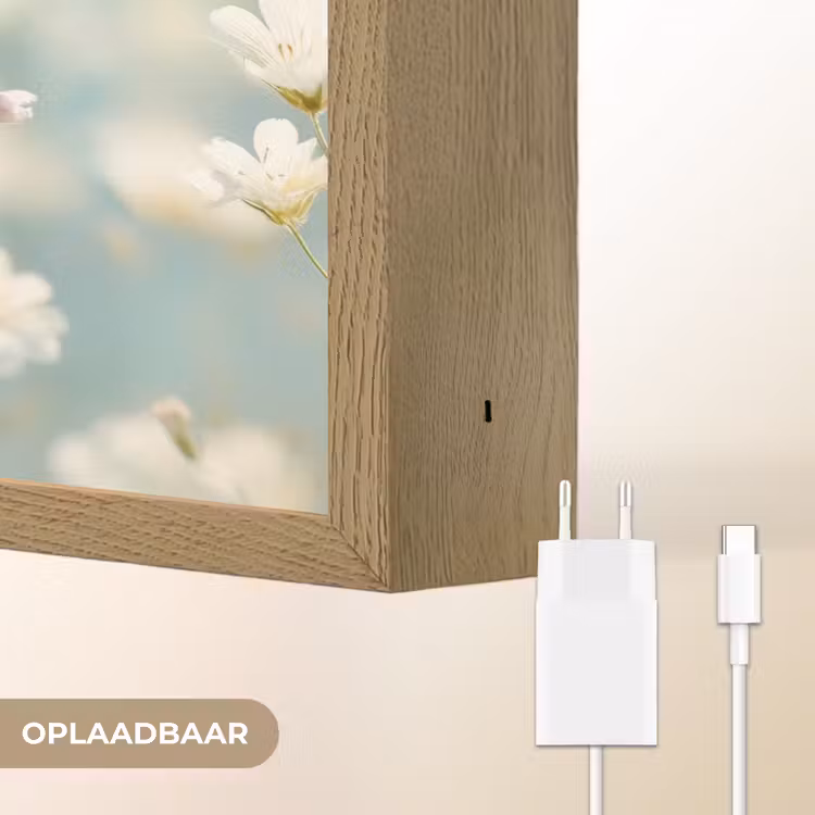 Lightbox - Wandlamp - Stengels - Bloemen - Lucht - Wit — 7