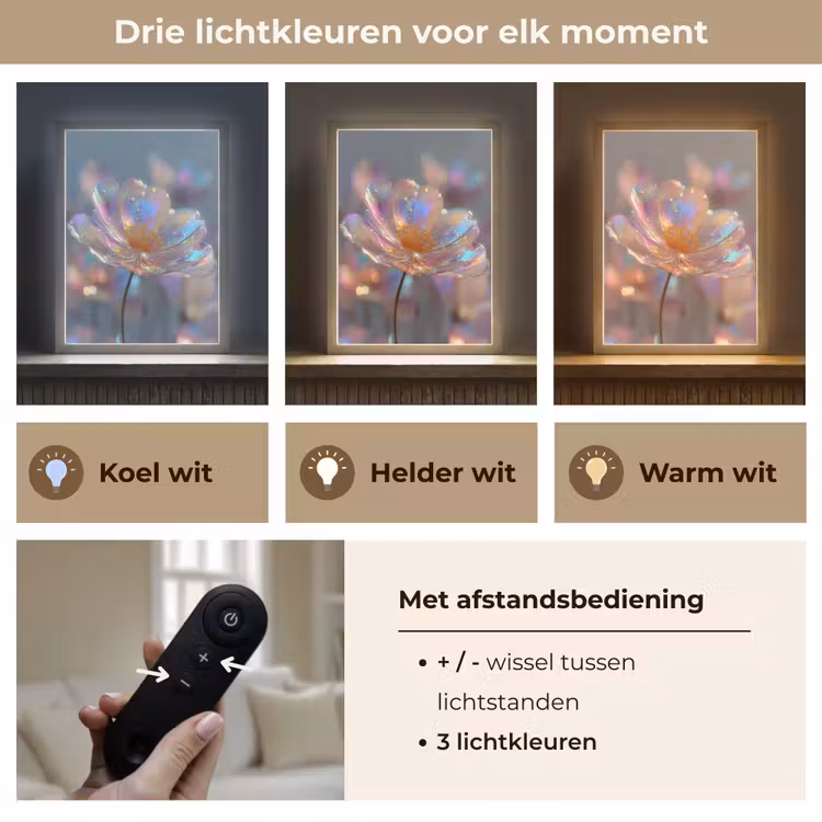 Lightbox - Wandlamp - Bloem - Transparant - Pastelkleuren - Druppels — 7
