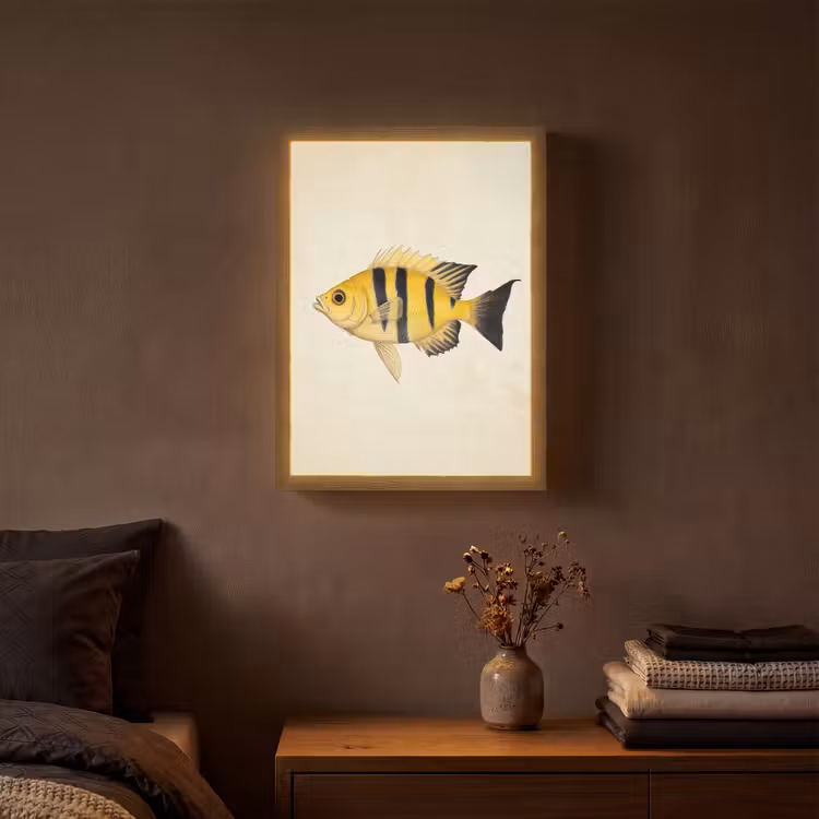 Lightbox - Wandlamp - Geel - Vis - Strepen - Tropisch — 3